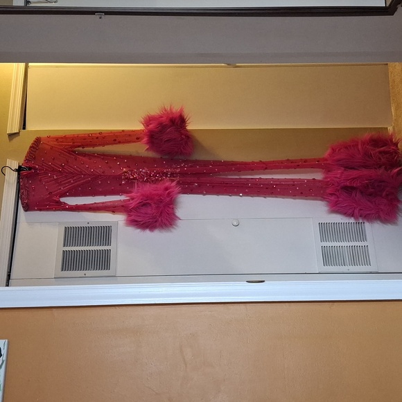 Fabulous costume. - Picture 9 of 9